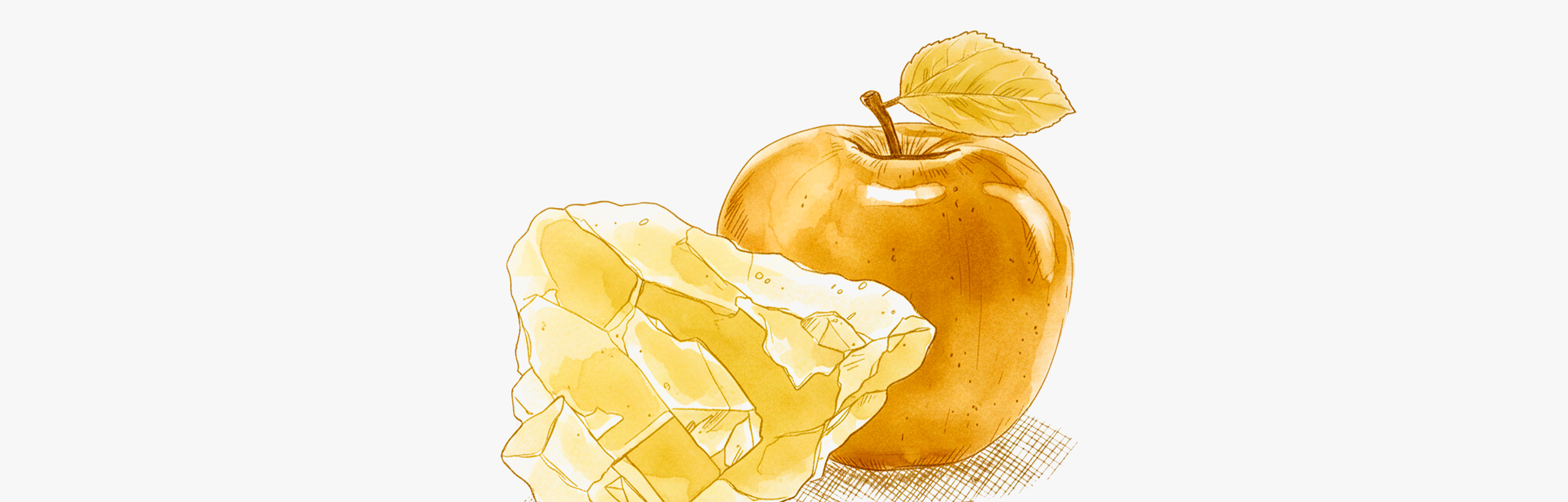 Magnesiummalat hat eine hohe Bioverfügbarkeit