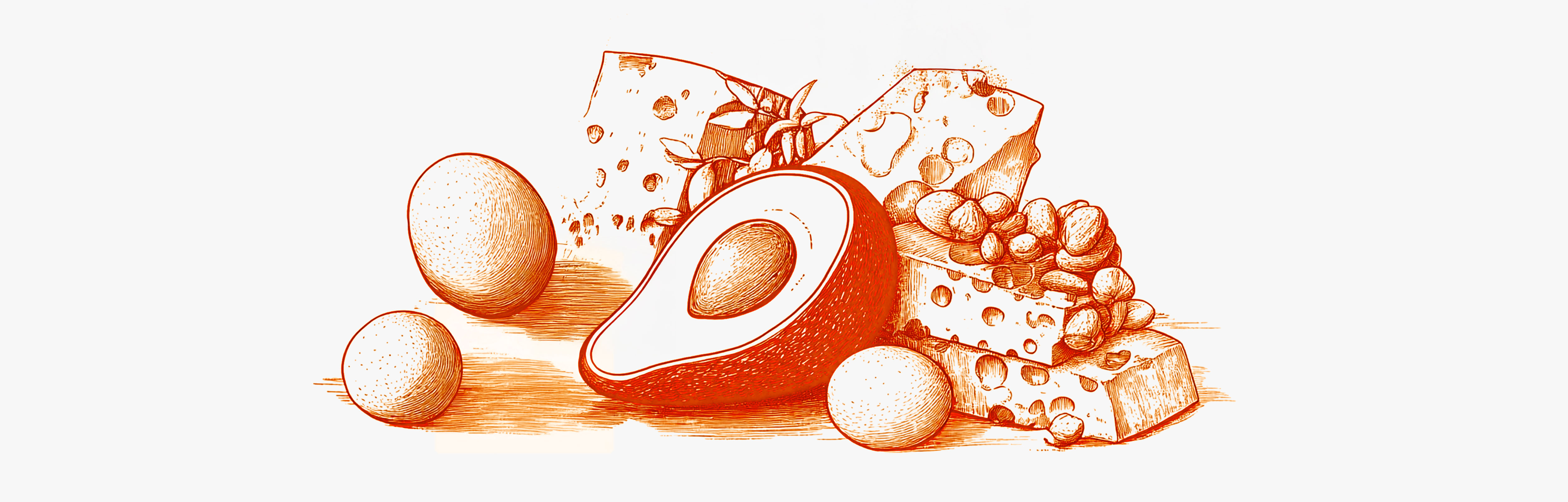 High-protein and healthy-fat foods for the Atkins diet