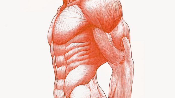 Gli alimenti con più proteine