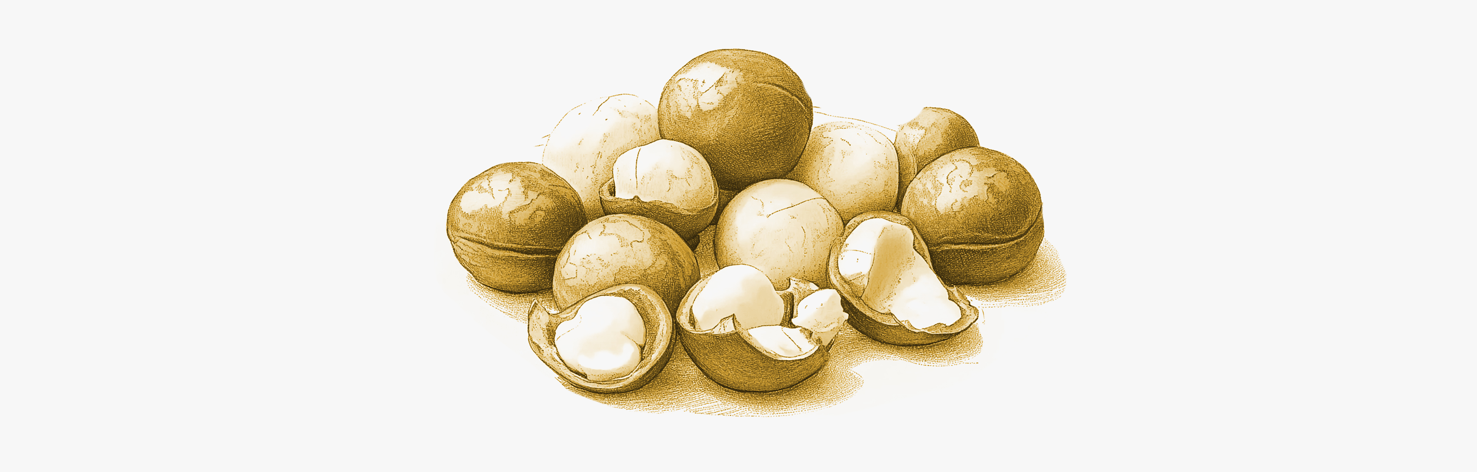 Lebensmittel mit dem höchsten Gehalt an Vitamin B1