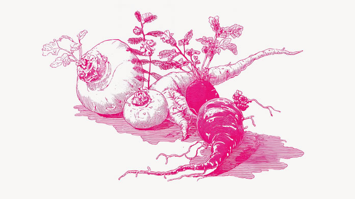 Scoprite l’elenco degli afrodisiaci naturali per la vostra vita sessuale