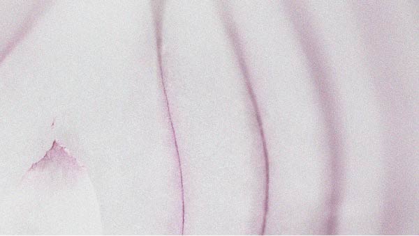 La quercétine pourrait être bénéfique pour la peau