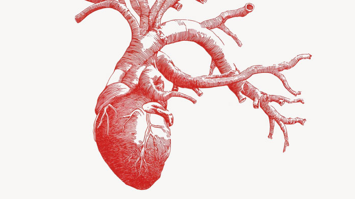 Overschot aan homocysteïne voor het hart
