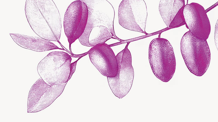 In quanto tempo si notano gli effetti della griffonia?