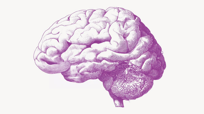 Estudios e ingredientes para la memoria