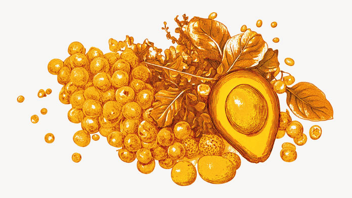 Vorteile der Mikronährstoffversorgung