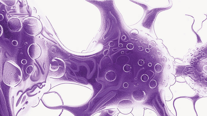 Complementos alimenticios neuroprotectores