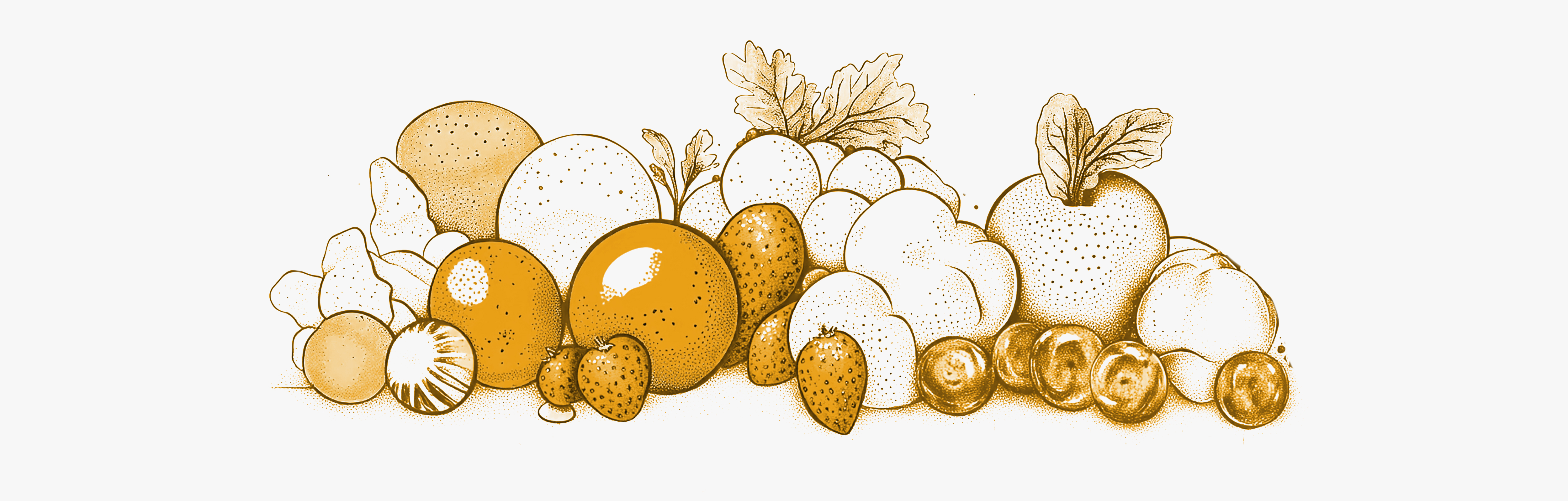 Verschiedene Lebensmittel tragen zur Gesundheit bei