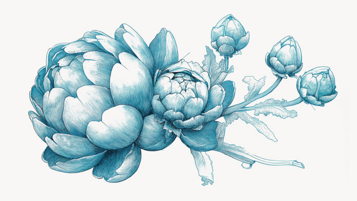 Es gibt verschiedene Arten von Präbiotika