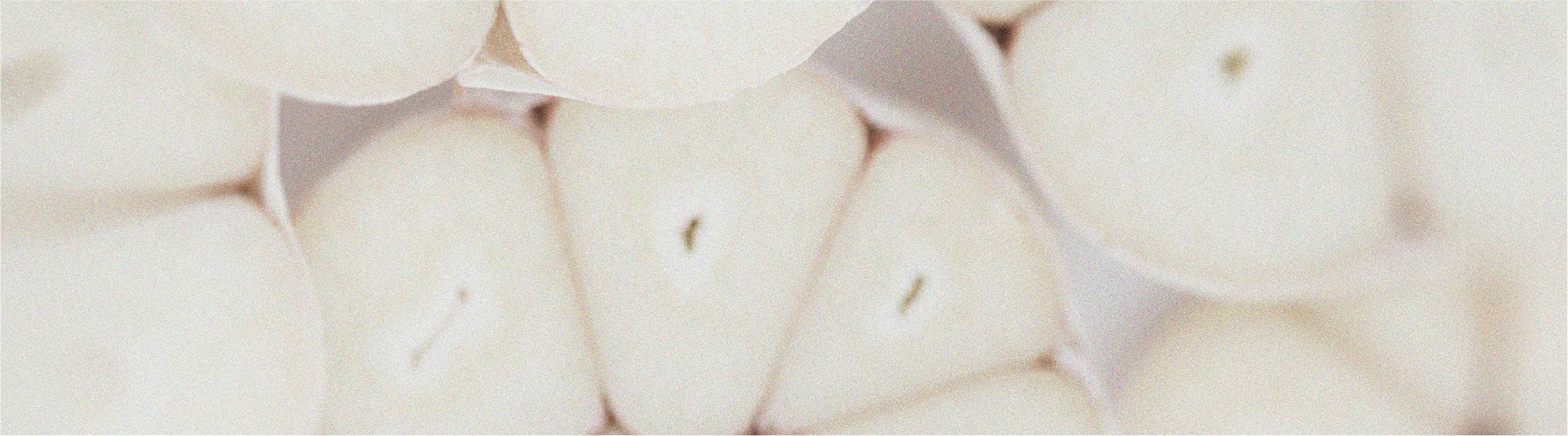 Entdecken Sie den Unterschied zwischen Präbiotika und Probiotika