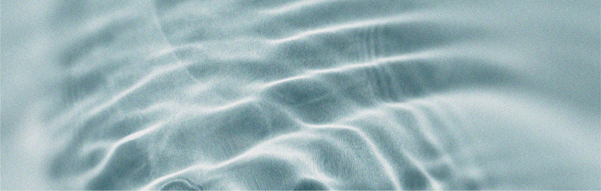 Le NAD+ et sa relation avec le vieillissement