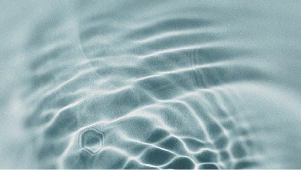 Le NAD+ et sa relation avec le vieillissement