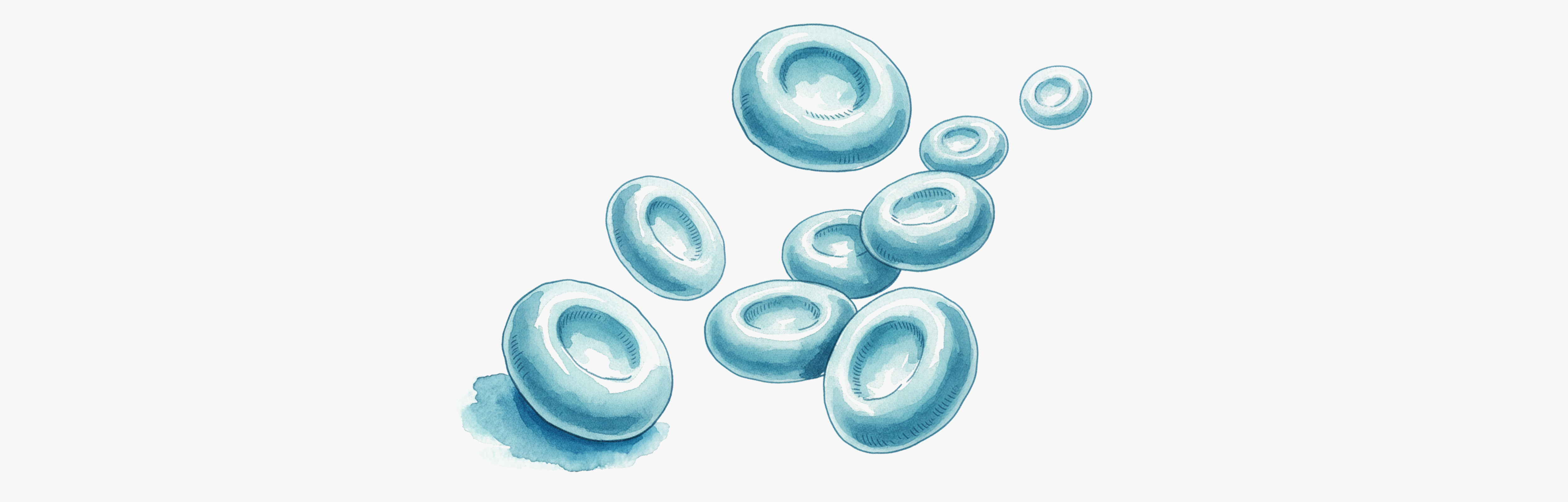 Saber la esperanza de vida a través de la sangre