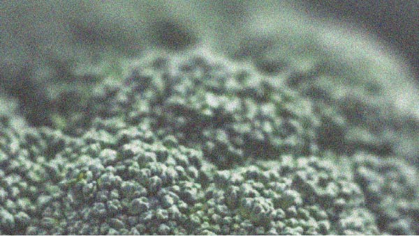 Certains aliments pourraient nuire à l’équilibre hormonal