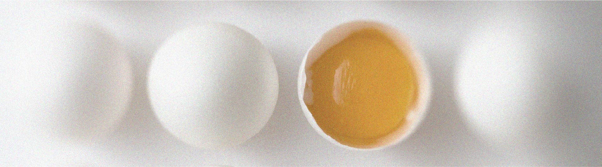 Tout ce qu’il faut savoir sur la vitamine B2